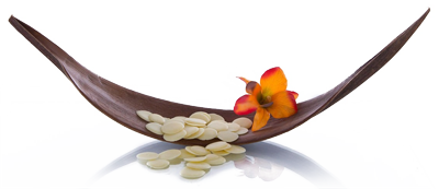 massage lomi lomi en institut