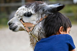 Ferme du Champ Rouge