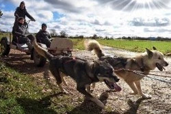 takamaka Cani kart Auvergne